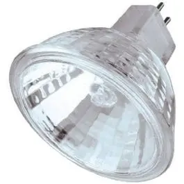 20-Watt Halogen Flood Light With Glass Lens 1