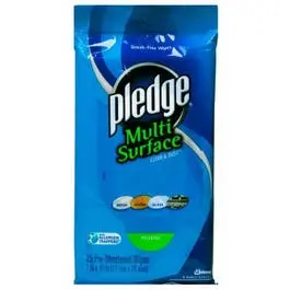 25-Count Multi-Surface Wipes 1