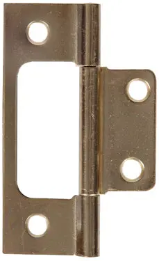 3  Satin Brass Fix Hinge 1