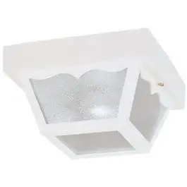60-Watt Single-Light Porch Light 1