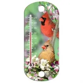 8-Inch Blue Jay Indoor/Outdoor Tube Thermometer 1