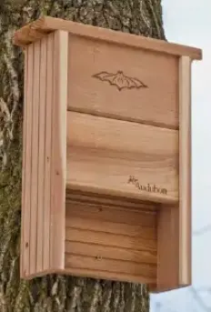 Audubon Cedar Bat Shelter 1