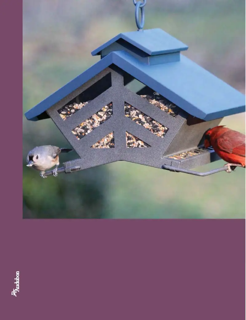Audubon Chalet Feeder 1