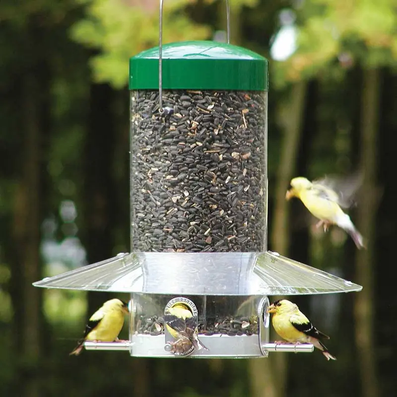 Backyard Nature Products Hanging Classic Bird Feeder With Baffle Weather Guard 1