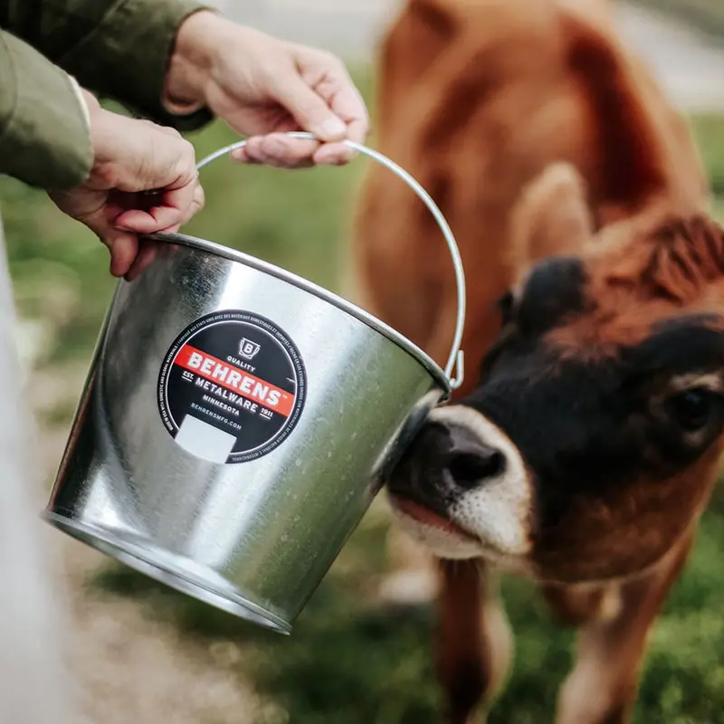 Behrens 5 Quart Hot Dipped Steel Pail 1