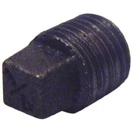 Black Plain Plug, 1-In. 1
