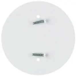 Blank Outlet Concealer, White, 4.75-In. 1