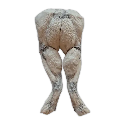 Bones & Co Frog Legs Freeze-Dried Dog Treats 1