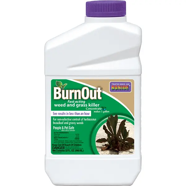 Bonide Burnout Weed & Grass Killer Concentrate 1 Qt 1