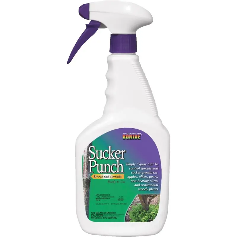 Bonide Sucker Punch 16 Oz. Ready-To-Use Sprout Control Vegetation Killer 1