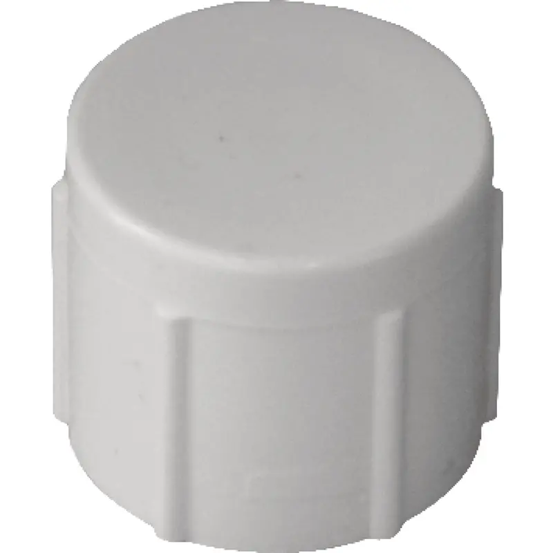Charlotte Pipe 1/2 In. Fip Schedule 40 Threaded Pvc Cap 1