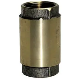 Check Valve, Brass, 1-In. 1