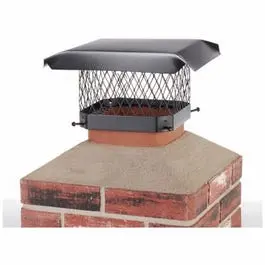 Chimney Cap, Black Steel, 9 X 9-In. 1