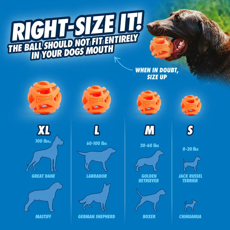 Chuckit! Air Fetch Ball 2