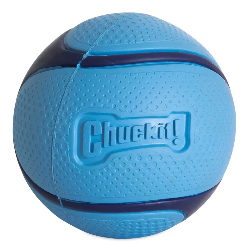 Chuckit! Bacon Sniff Fetch Ball Dog Toy 1