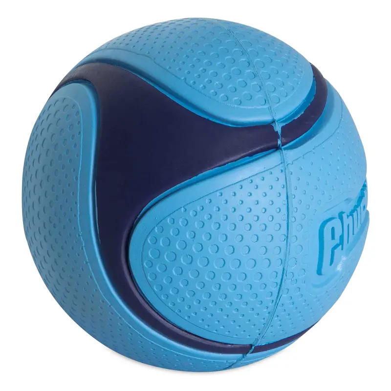 Chuckit! Bacon Sniff Fetch Ball Dog Toy 2