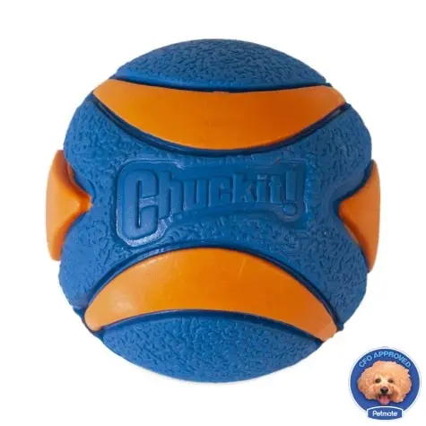 Chuckit! Ultra Squeaker Ball 1