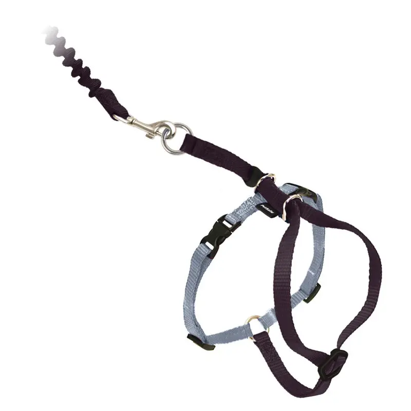 Come With Me Kitty™ Black Cat Harness & Bungee Leash 1