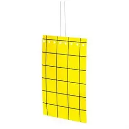Disposable Fly Trap, 3-Pk. 1