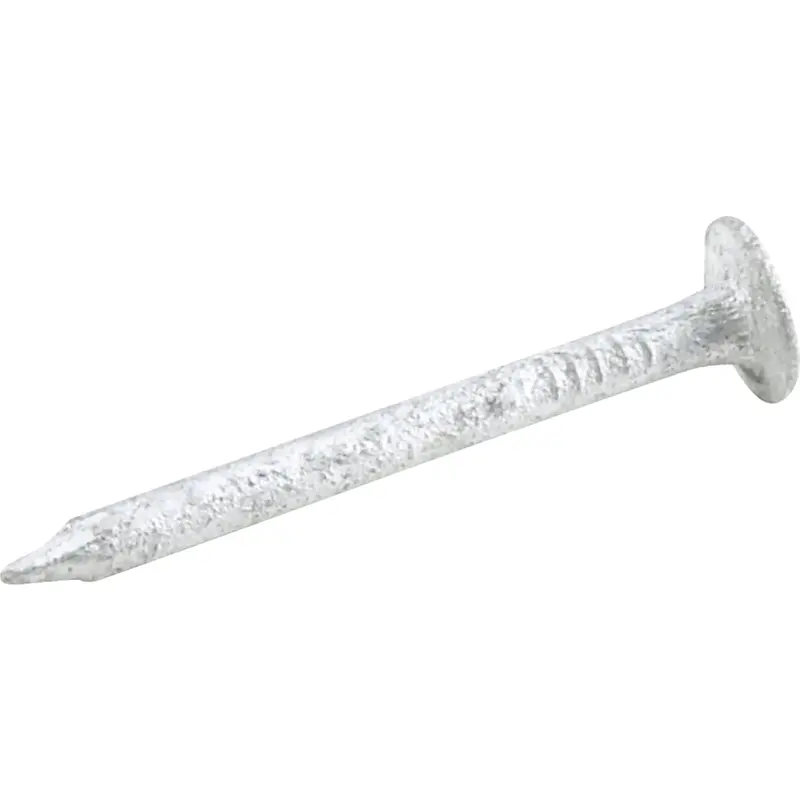 Do It 1 In. 11 Ga Hot Galvanized Roofing Nails (255 Ct., 1 Lb.) 1
