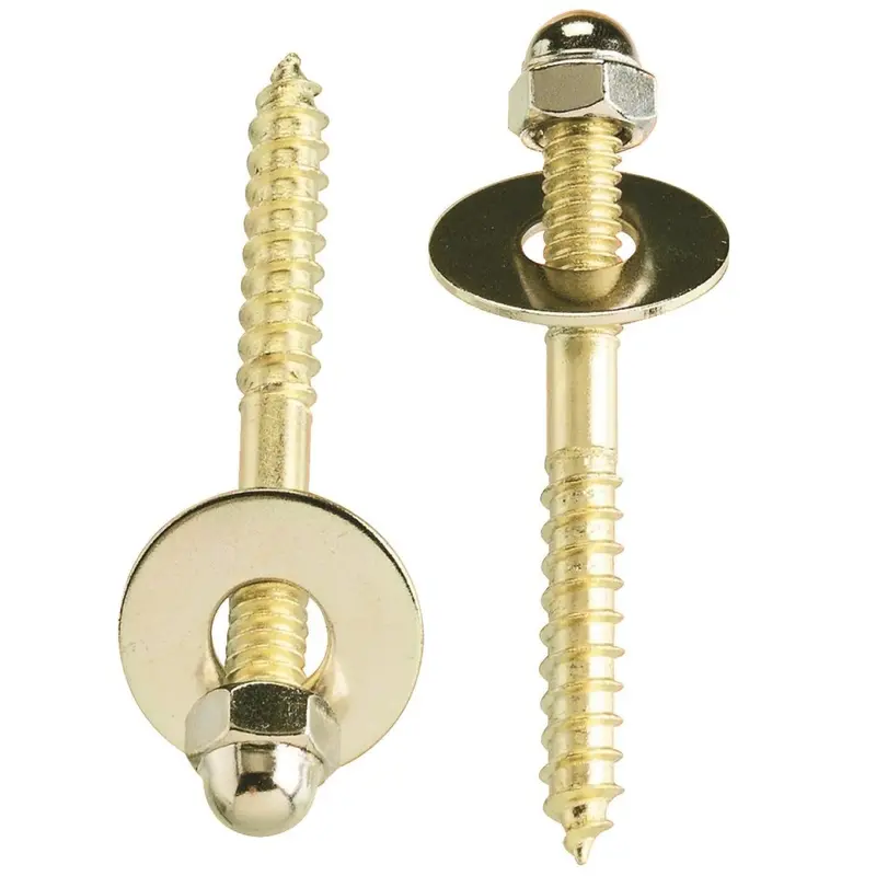 Do It 2-1/2 In. X 1/4 In. Brass-Plated Steel Toilet Screws (2 Ct.) 1