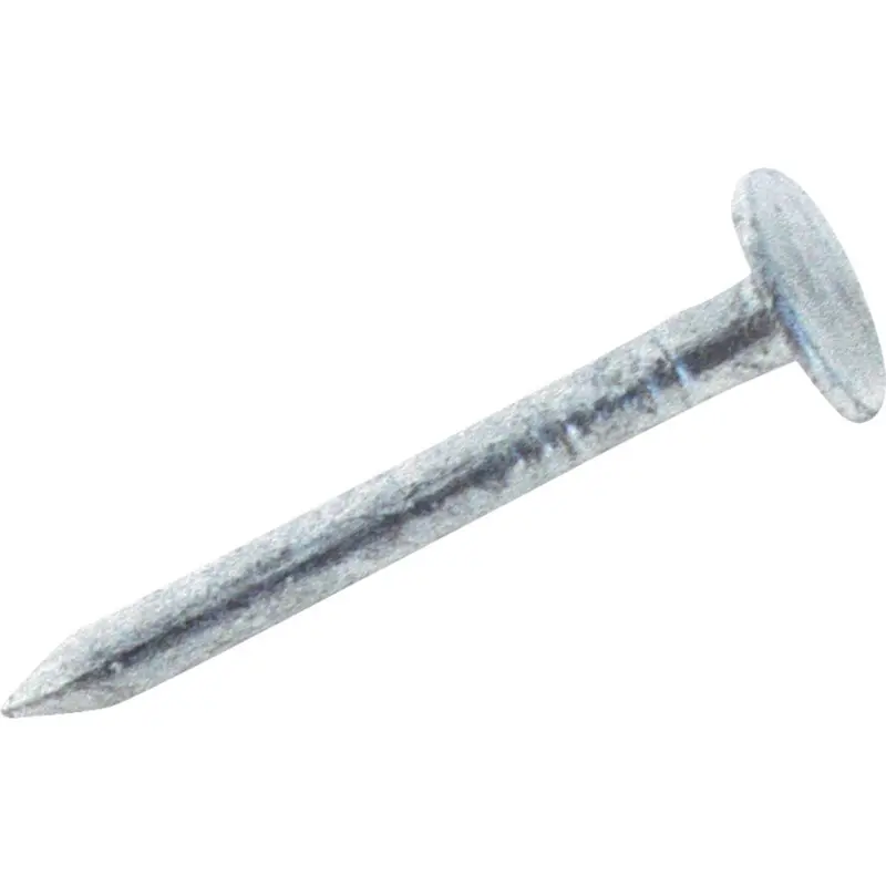 Do It 2 In. 11 Ga Hot Galvanized Roofing Nails (138 Ct., 1 Lb.) 1
