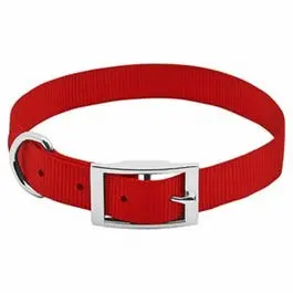 Dog Collar, Adjustable, Red Nylon, 1 X 19 To 22-In. 1