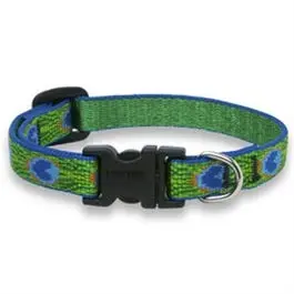 Dog Collar, Adjustable, Tail Feather, 1/2 X 8 To 12-In. 1