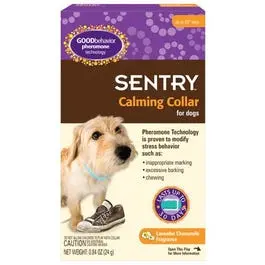Dog Collar, Calming Lavender Chamomile, 28-In. 1