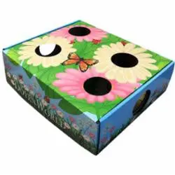 Doyen Cat Puzzle Box Garden 1