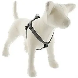 Eco Dog Harness &6-Ft.  Leash, Granite, 3/4 X 15 To 21-In. 1