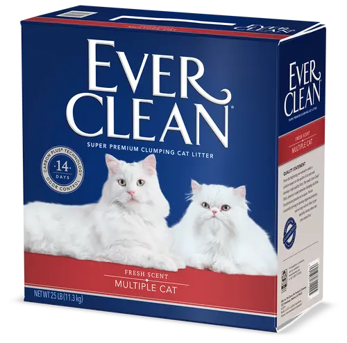 Ever Clean Multiple Cat Litter 1