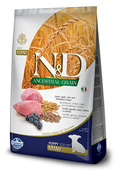 Farmina N&D Ancestral Grain Canine Lamb & Blueberry Puppy Mini Food 1
