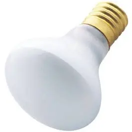Flood Light Bulb, Intermediate Base, 25-Watts 1