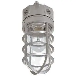 Floodlight With Bulb Guard, Incandescent, 100-Watt 1