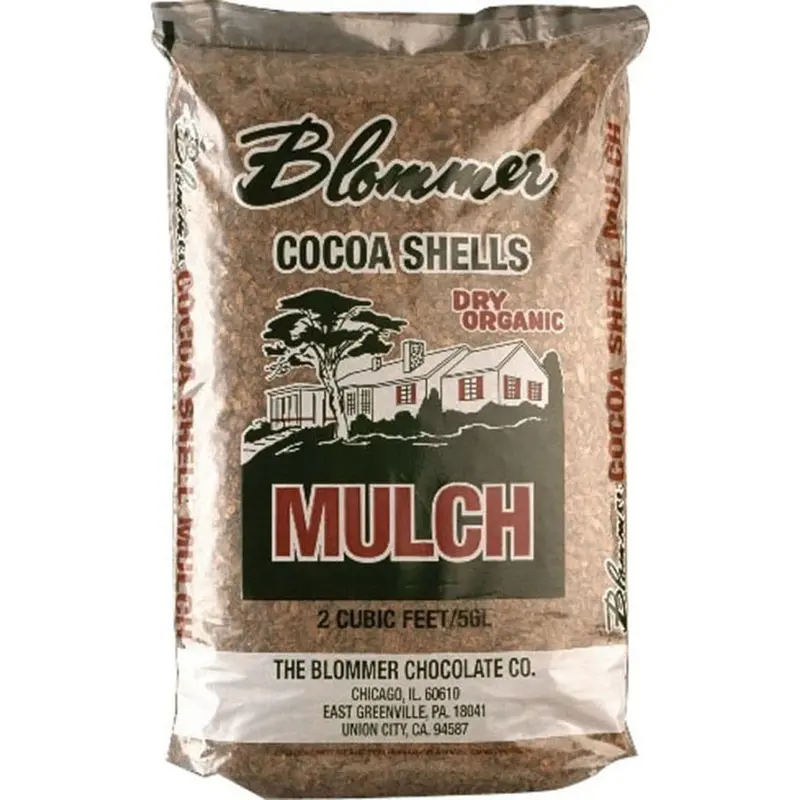 Florida Cocoa Shell 1
