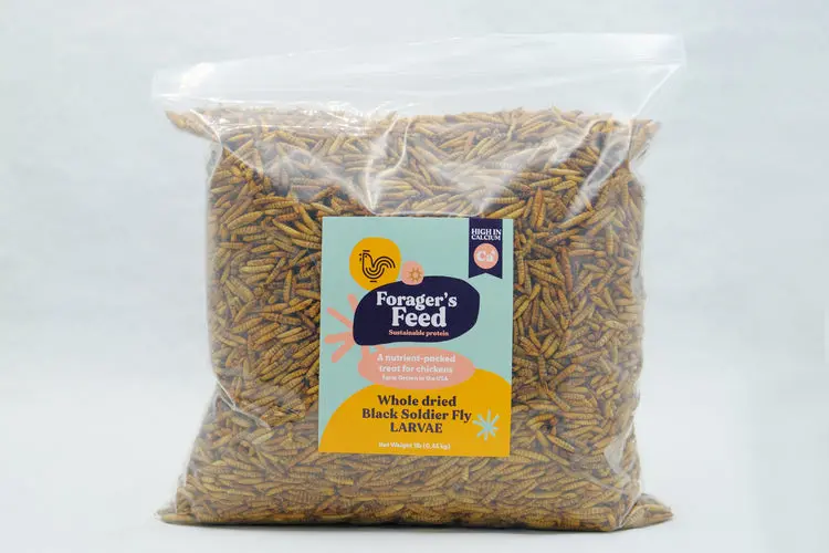 Forager's Feed Whole Dried Black Soldier Fly Larvae 1