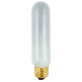 Frosted Tubular Light Bulb, 40-Watts, 5-3/16-In. 1