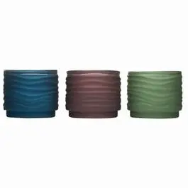 Frosted Votive Glass Candle, Lavish Woodland, Assorted, 9-Oz. 1
