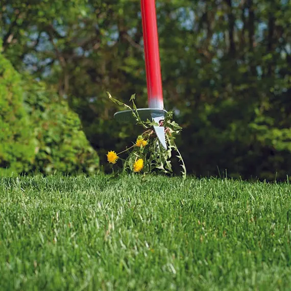 Garden Weasel Weed Popper Step & Twist® 1