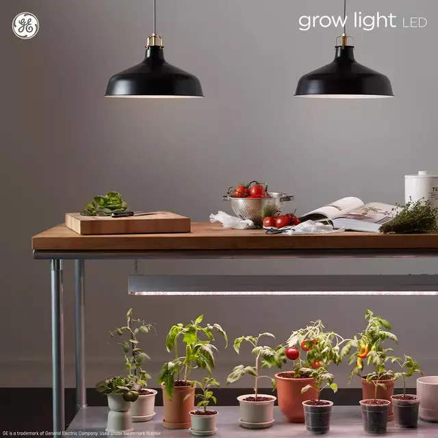 Ge Grow Led Light Bulbs For Fruits And Flowering A19 Bulbs 9 Watts 1