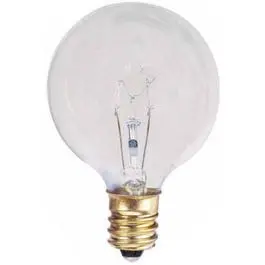 Globe Light Bulb, Clear, 25-Watts, 2-Pk. 1
