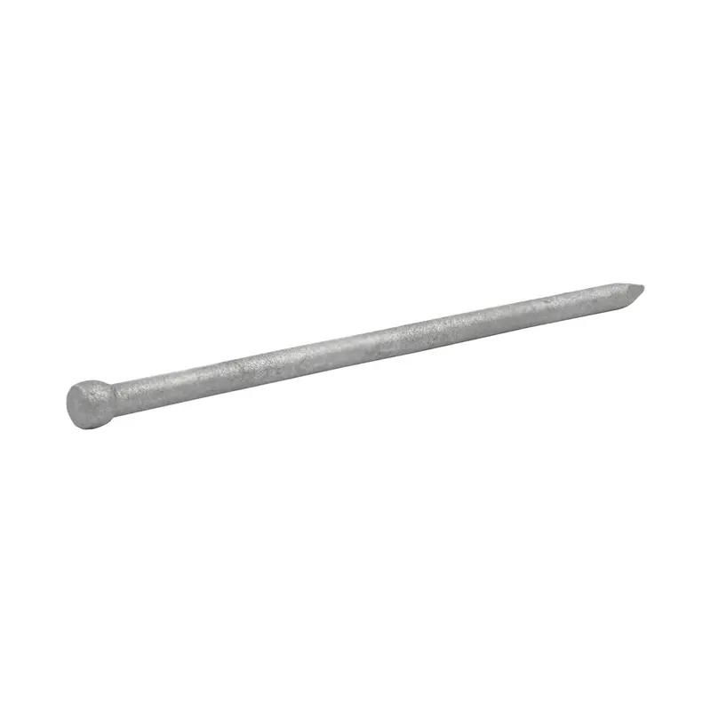 Grip-Rite 8D 2-1/2 In. Finishing Hot-Dipped Galvanized Steel Nail Brad 5 Lb. 1