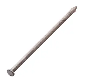 Grip-Rite® Spike Nails 10 In. 1