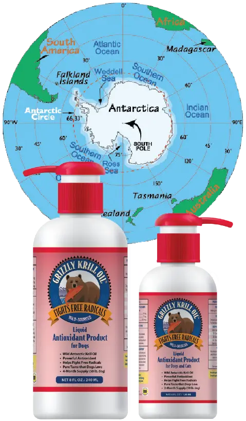 Grizzly Krill Oil 1