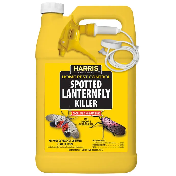Harris Spotted Lanternfly Killer 1