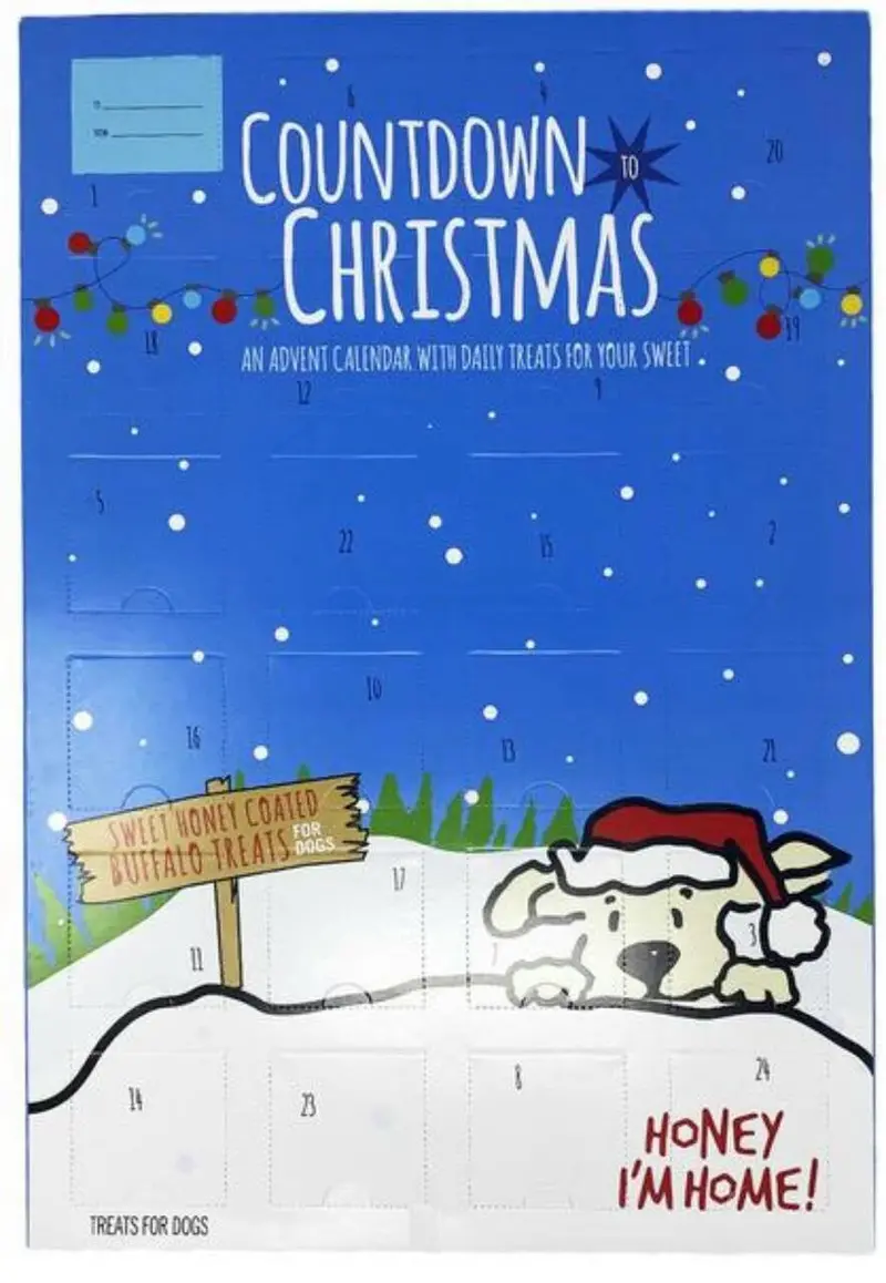Honey I'm Home Advent Calendar 1