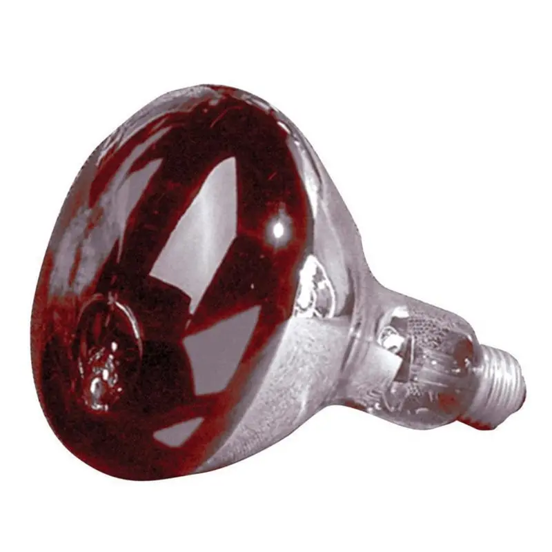 Incandescent 250-Watt Medium R40 Red Light Bulb 1