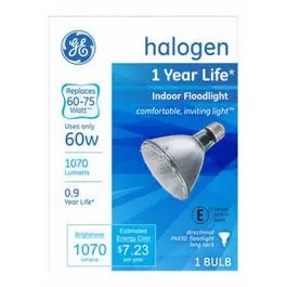 Indoor Halogen Flood Light, 60-Watts 1