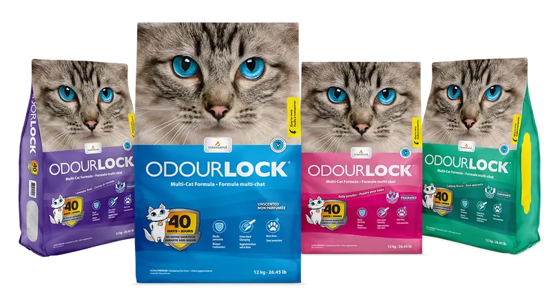 Intersand Odourlock Ultra Premium Multi-Cat Litter Formula 2